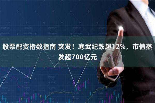 股票配资指数指南 突发！寒武纪跌超12%，市值蒸发超700亿元