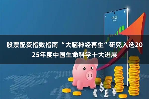 股票配资指数指南 “大脑神经再生”研究入选2025年度中国生命科学十大进展