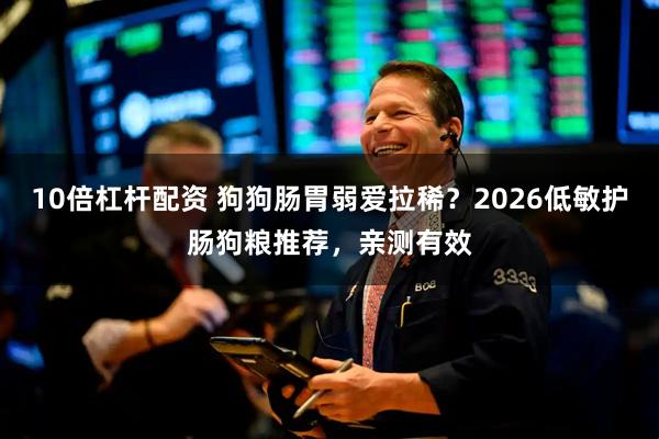 10倍杠杆配资 狗狗肠胃弱爱拉稀？2026低敏护肠狗粮推荐，亲测有效